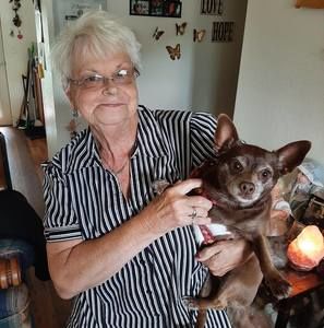 Meet your Posher, Wanda